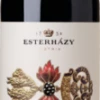 Estoras Blaufränkisch Trocken, Burgenland Schlossweingut Esterházy