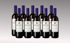 Fördelspaket Urmeneta Carmenere 10 Flaskor