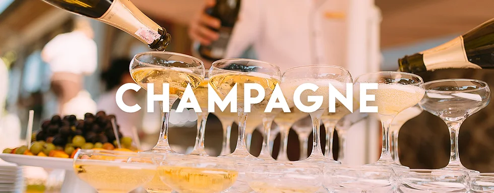 Puro butik -Puro butik banner213